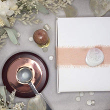 Load image into Gallery viewer, Cactus Pot Plants