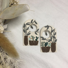 Load image into Gallery viewer, Cactus Pot Plants